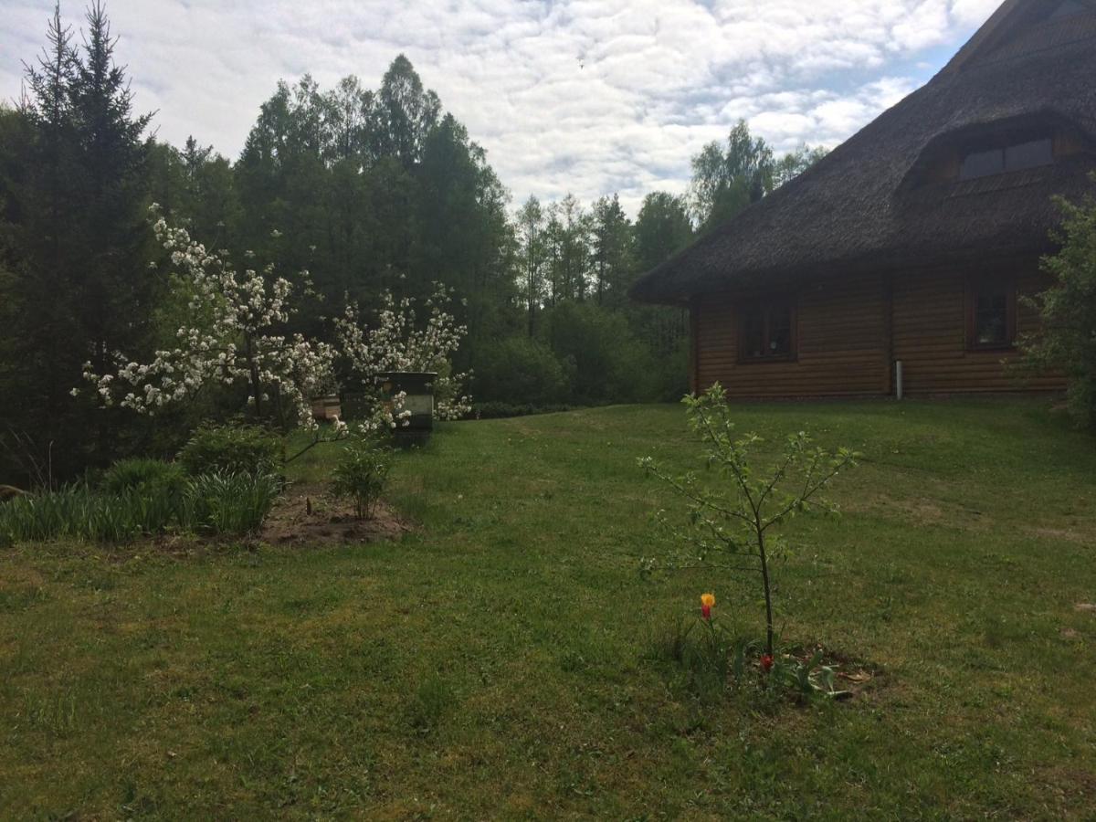 Mezupes Guest House Tuja Exterior photo